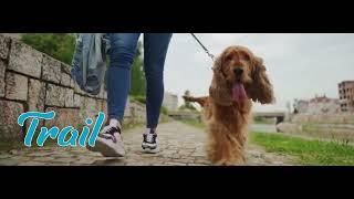 City Paw Cleaner Promo by Pet Marketing Agency