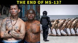 El Salvador's War on MS-13. Nayib Bukele Goes Hard