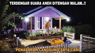 TERDENGAR SUARA ANEH DI TENGAH MALAM..!! PENASARAN LANGSUNG SAYA CARI || BERMALAM DI KEBUN