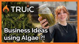 A Sustainable Business You Can Start at Home | Algae Farm Business Ideas