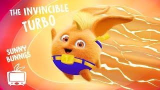   LIVE SUNNY BUNNIES TV | The Invincible Turbo | Cartoons for Children