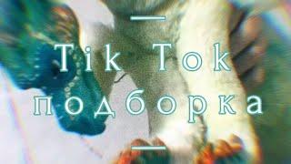 Тик Ток подборка [2] | Драконья Сага | Tik Tok Compilation | Wings of Fire || ＧｒｅａｔｎｅＳＳ　ツ