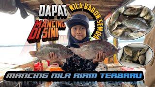 Mancing Nila Riam Kanan Terbaru, Dapat Nila Babon Semua