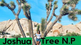 Exploring Joshua Tree National Park, CA - Best Things to See and Do