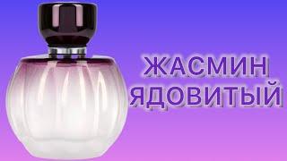 Чистый жасминовый яд, облагороженный гарденией. Fragrance World Pure Passion - ОПЯТЬ В ТОЧКУ!