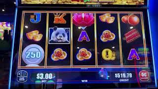 Live slot play from Madison!