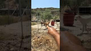 A live from the shelter 1/2 ️ - Takis Shelter