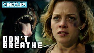 Chased By A Rottweiler | Don't Breathe | CineClips