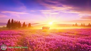 528 HZ SERENE SUNRISE  Beautiful HAPPY Morning Music - Positive Euphoria Energy