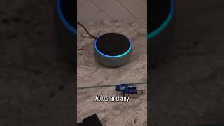 Alexa Routines HACK