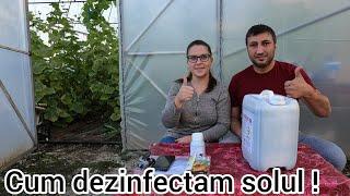 Dezinfectarea solului biodinamic cu microorganisme benefice folosim RADIUS SL