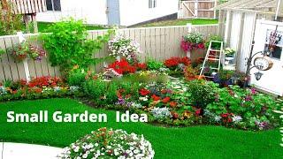 Wow ! Small Garden Idea | Small Area Garden | Flower garden Ideas |SwaroopaDiaries