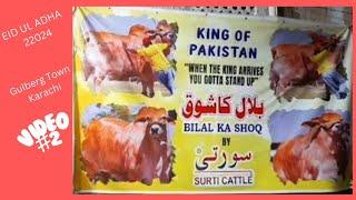 BILAL KA SHOQ QURBANI 2024 GULBERG TOWN KARACHI