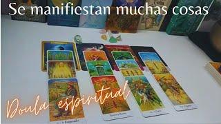 QUÉ SE VA A MANIFESTAR EN TU VIDA  tarot interactivo hoy