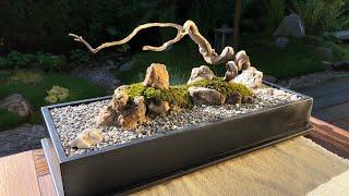 Miniature moss garden - zen garden (self-watering)