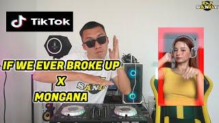 IF WE EVER BROKE UP X MONGANA (TikTok Viral Danger Budots) - Vitamin A | Dj Sandy Remix