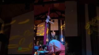 Aerial Silks Climb #aerial #aerialist #silks #climb #castle #dinnershow #trick