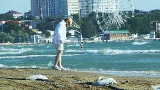 ПРАВДА О МОРЕ // АНАПА, ПРЕМЬЕРА ПЛЯЖ  блогер Альбатрос, море, пляжи, новости //   Lumix TZ30