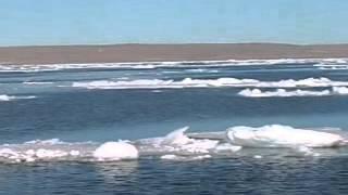 "INTO THE ICE" 2007 Successful Voyage