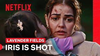 Vitto Accidentally Shoots Iris | Lavender Fields | Netflix Philippines