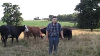 Beef Cattle Farmers: Matt & Jaci Witte