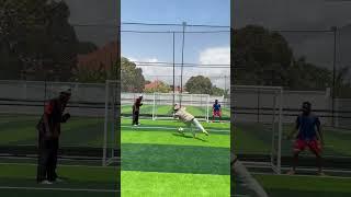 Funny penalty  #shorts #trending