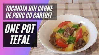 Potatoes Stew with pork meat, made with One Pot Tefal, Easy Recipe!