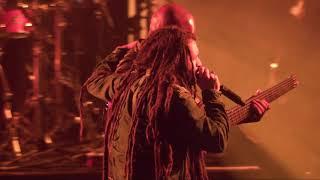 Alborosie - 'Kingston Town' Live at Couleur Café (2018)