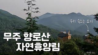 [놀자] 사진보고 갔더니 수영장이 좋았던 무주향로산자연휴양림