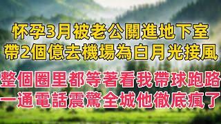 懷孕3月被老公關進地下室，帶2個億去機場為白月光接風，整個圈裡都等著看我帶球跑路，一通電話震驚全城他徹底瘋了