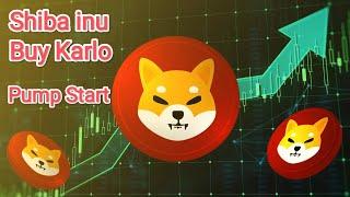 shiba inu price prediction shiba inu news today