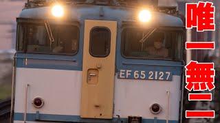 【鉄道写真】唯一無二の塗装のEF65！EF65 2127カラシ色のEF65を撮影する！