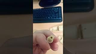 Капучинатор не держит насадку