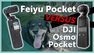 Feiyu Pocket vs DJI Osmo Pocket | Does the Feiyu Pocket's Price beat the DJI Osmo Pocket?