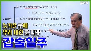 [고급] 2강 - 갑술(甲戌)일주 특징