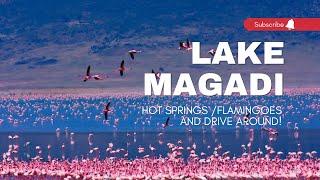 LAKE MAGADI SAFARI | AFRICA ADVENTURES | FLAMINGOES AND HOTSPRINGS