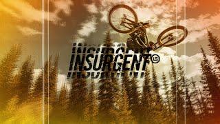 The Insurgent LS - Evil Bike Co.