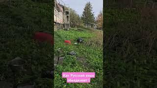 Как русский язык объединяет !! #юмор #приколы #норвегия #Одесский Бродяга