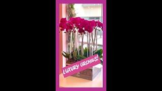Orchids!! Stunning custom made luxury flowers ready for wedding! You can DIY Wedding flowers