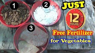 Made free powerful fertilizer just in 12 hours | Quick Booster