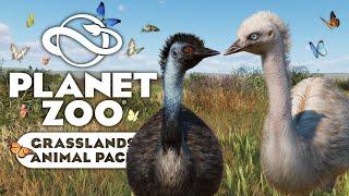 New Animals & Their Babies | Grasslands Animal Pack | Planet Zoo
