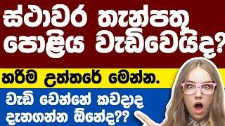 BEST FIXED DEPOSIT RATES IN SRI LANKA 2023 | NEW FIXED DEPOSITS RATES 2023 @thebankchannel123  EP150