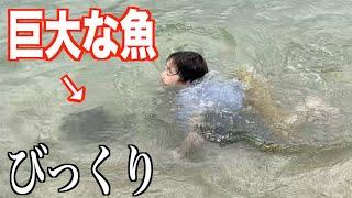 危ない！次男の近くに巨大な魚が！！｜三兄弟が海で暴れる