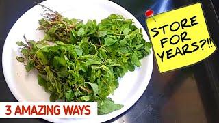 HOW TO STORE MINT LEAVES FOR LONG TIME | HOW TO PRESERVE MINT LEAVES | HOW TO STORE PUDINA LEAVES