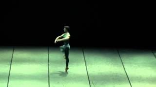 In the Middle Somewhat Elevated - Marta Romagna, Roberto Bolle, Zenaida Yanowsky