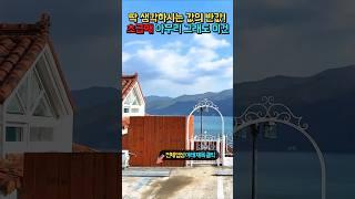 초급매 그냥 반값!! 지금은 이런 걸 사셔야죠!! 아무리 그래도 이건.. 그냥 무조건 처분!! 바닷가 철콘구조 펜션 매매 초급매물 #shorts