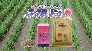 スクミリンゴガイ（ジャンボタニシ）防除剤「スクミノン」とスクミノン田植同時散布機（MJTー8）-k-