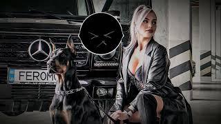 Alex Rogov - Feel It