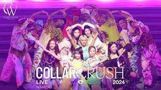 COLLAR CRUSH LIVE 2024 - MACAO 演出全記錄 (Candy Focus)