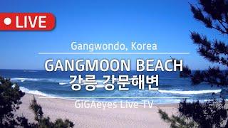 강릉실시간 강문해변 Live Cam I "Gangmoon beach", Gangwondo, Korea I 강릉바다 바다실시간 여행지 강원도일출 강릉일출